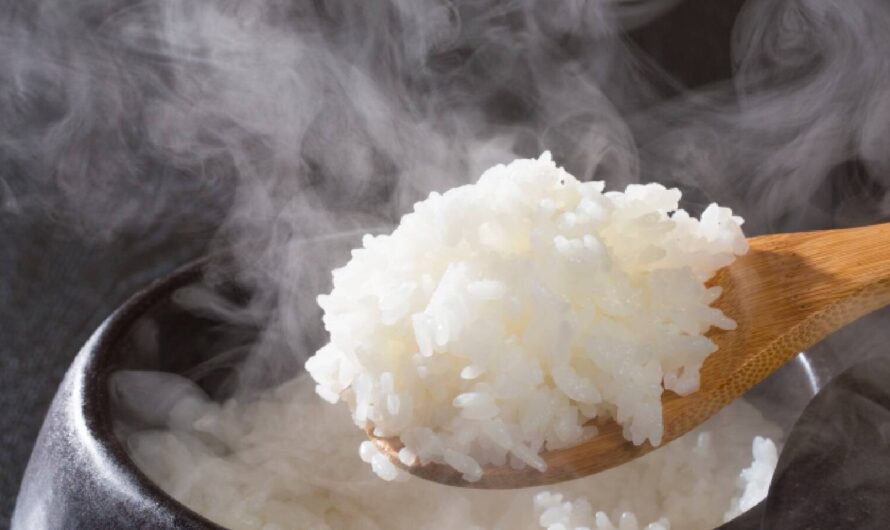 Deliciously Authentic Hayashi Rice Recipe: Your Guide to Comfort in a Bowl