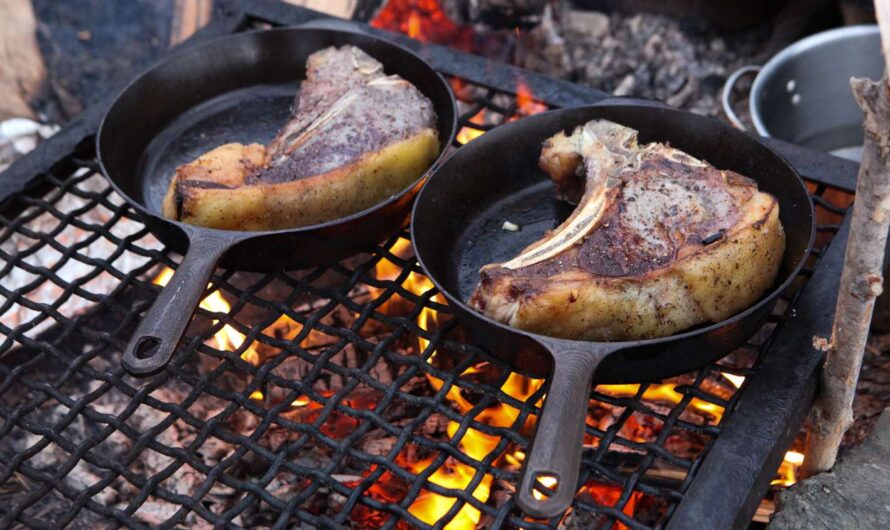 How to Cook Dry Aged Ribeye Cast Iron Skillet: Its Big, Approved Technology