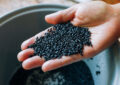 Black Rice