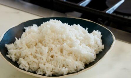 Rice Cooker