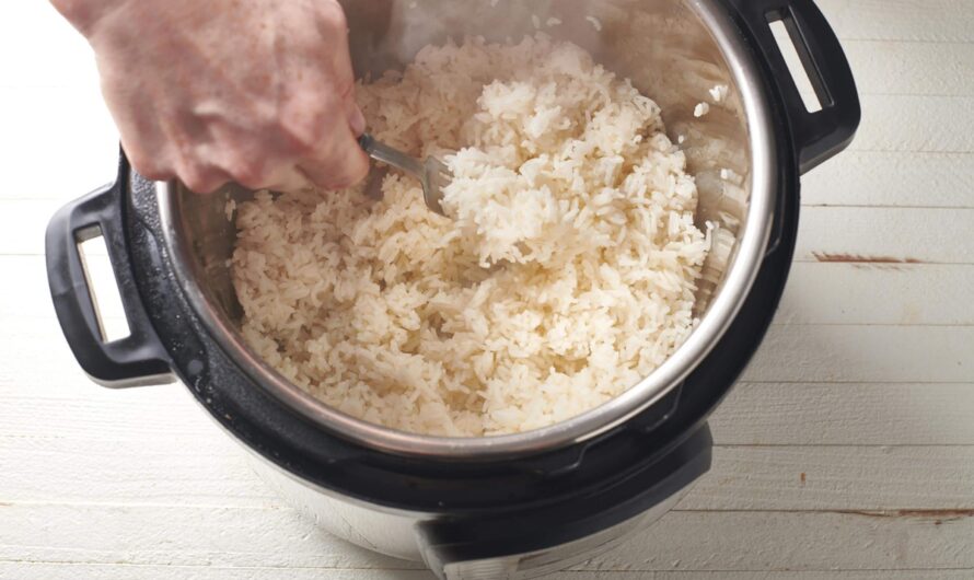 Exploring Different Types of Rice Cookers for Sushi Lovers