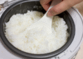 Rice Cooker