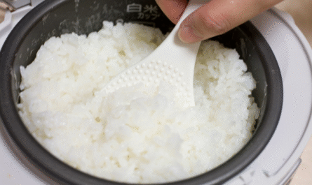 Rice Cooker