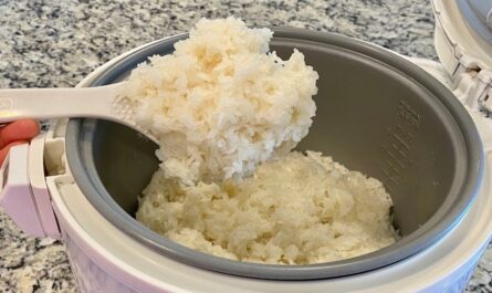 Rice Cooker