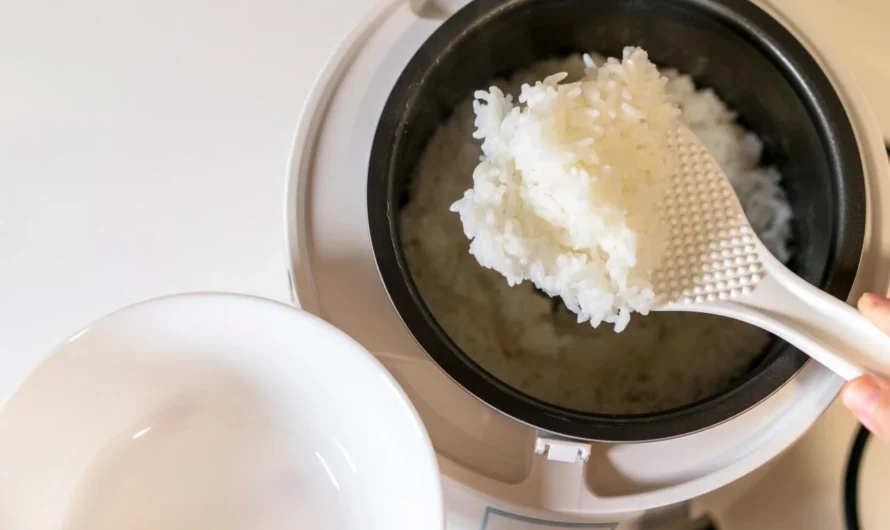 Single vs Multi-Function Rice Cooker: Which is Your Best Choice?